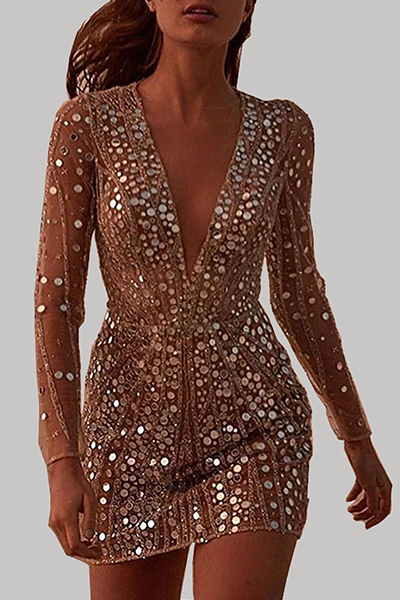 Elegant Sparkly Women's Dress, Fitted Cut & Chic Evening Look