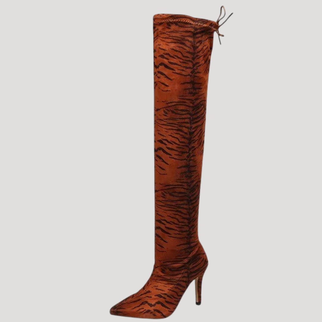 Women’s High Boots with Pointed Toes and Stiletto Heels