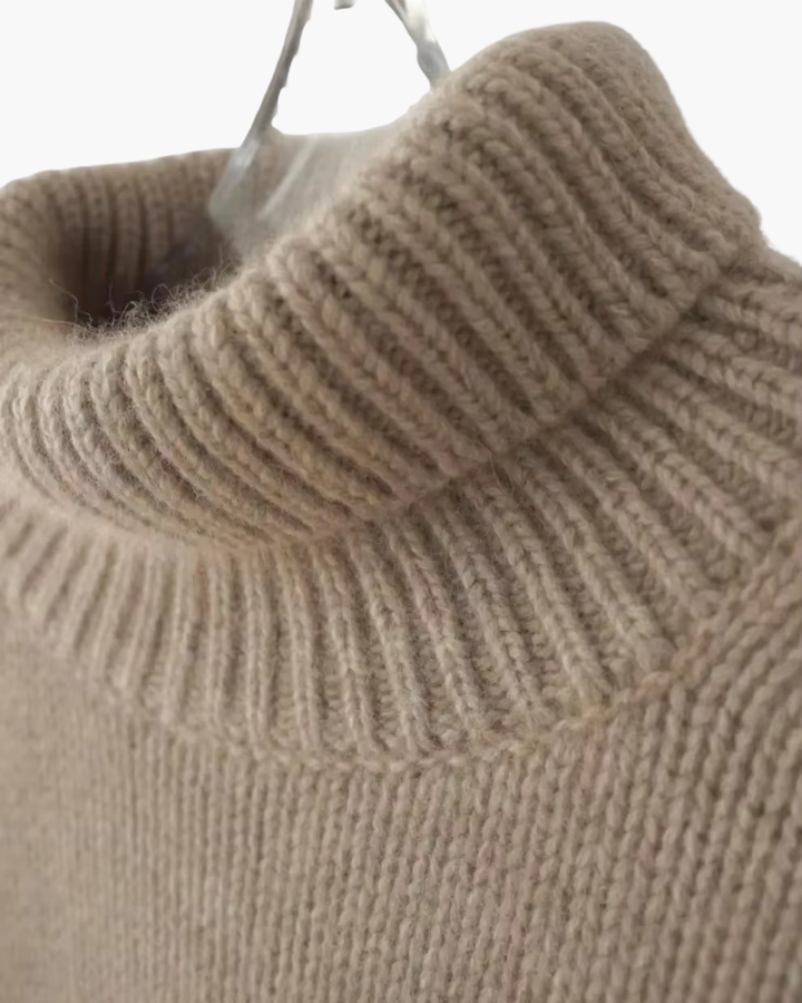Daryana – Soft Turtleneck Sweater