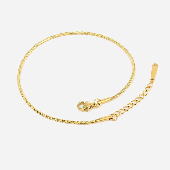 Shanileigh™  |  Pink Anklet 18k Gold