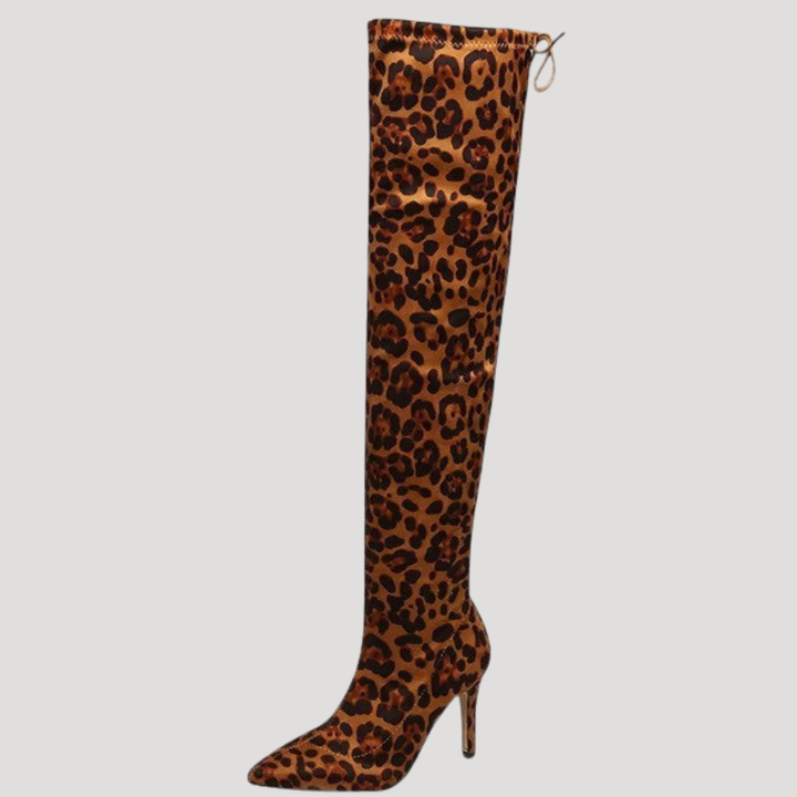 Women’s High Boots with Pointed Toes and Stiletto Heels