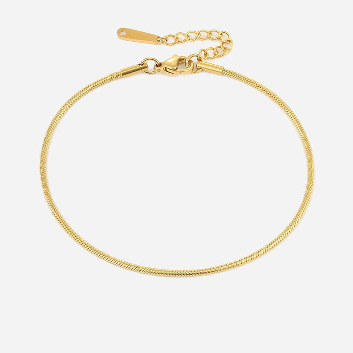 Shanileigh™  |  Pink Anklet 18k Gold