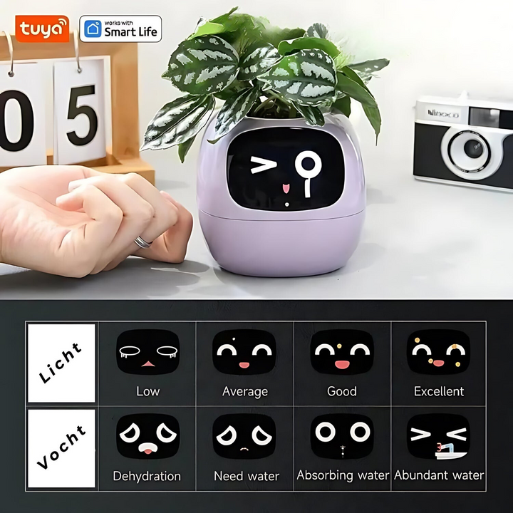Happy Ivy Your Smart Partner for Automatic Plant Care!, view 4 - Elena Harper