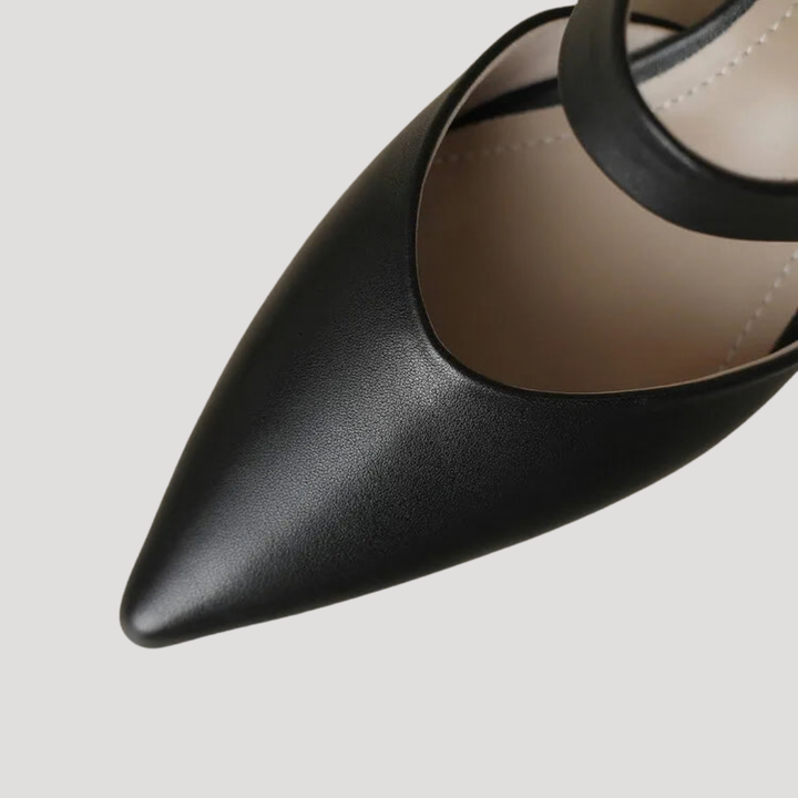 Women's Pointed Toe Heeled Mules