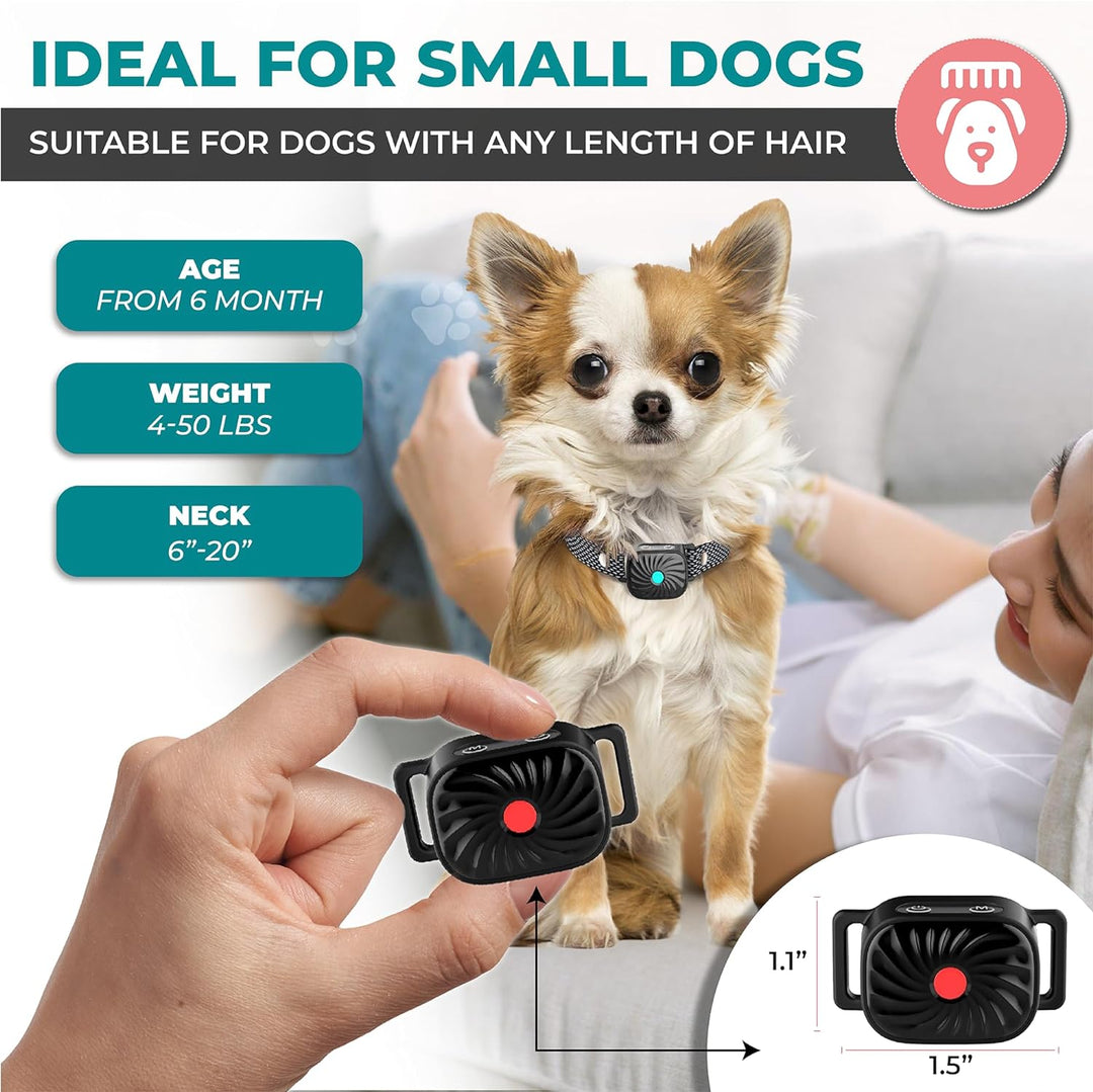 BelloSilent Anti-Bark Collar for Small Dogs With Sound and Vibration IP87 Waterproof Adjustable and Gentle Training, view 3 - Elena Harper