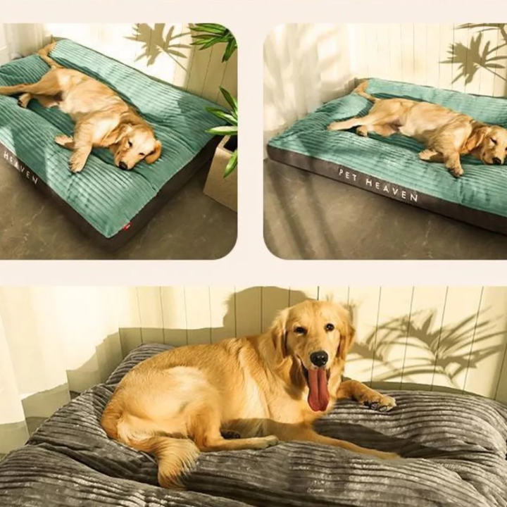 Dog Cushion for Rest and Relaxation, view 2 - Elena Harper