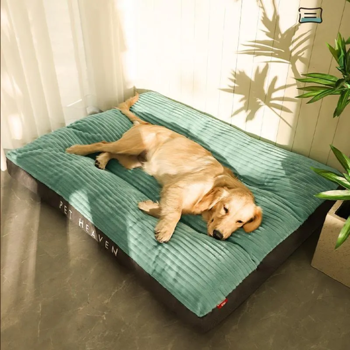 Dog Cushion for Rest and Relaxation - Elena Harper