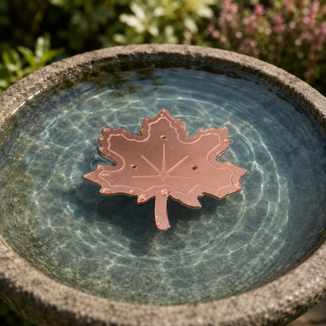 Bloomara Pure Copper Bird Bath Purifier Disc, Algae Control Flower - Elena Harper