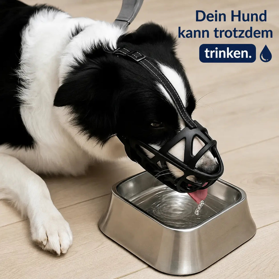 Dog Muzzle Breathable & Adjustable for Training and Daily Use, view 6 - Elena Harper