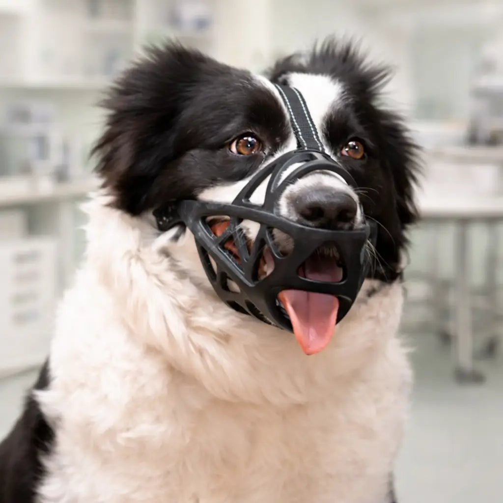 Dog Muzzle | Breathable & Adjustable for Training and Daily Use