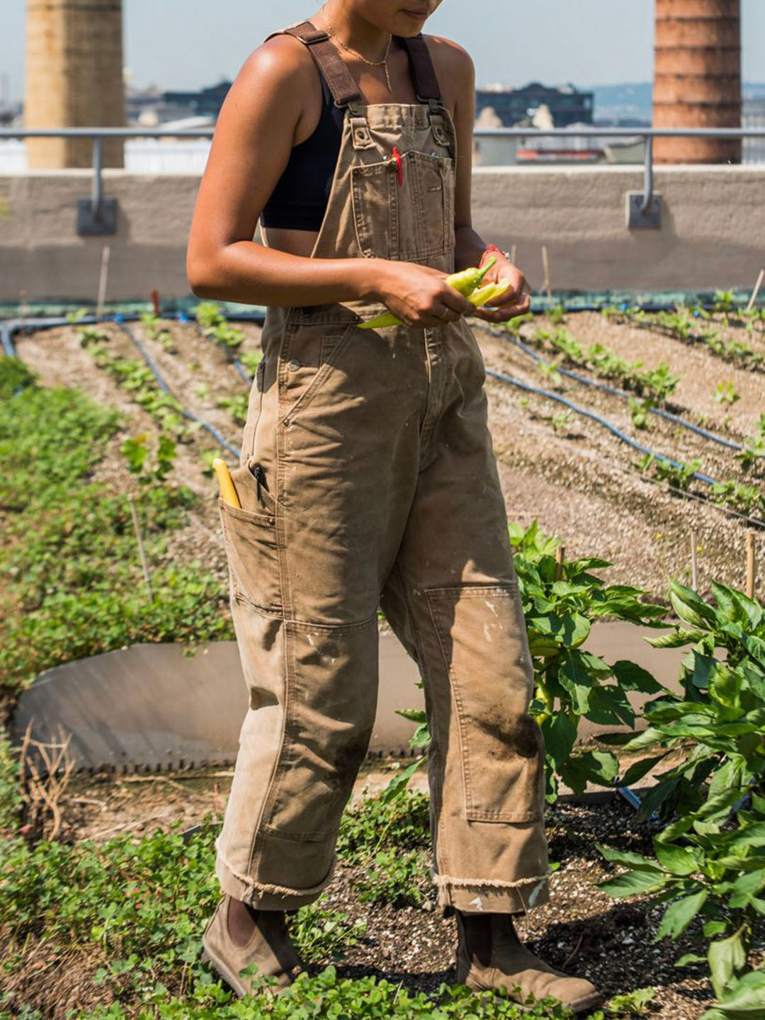 Brooke Classic Everyday Overalls - Elena Harper
