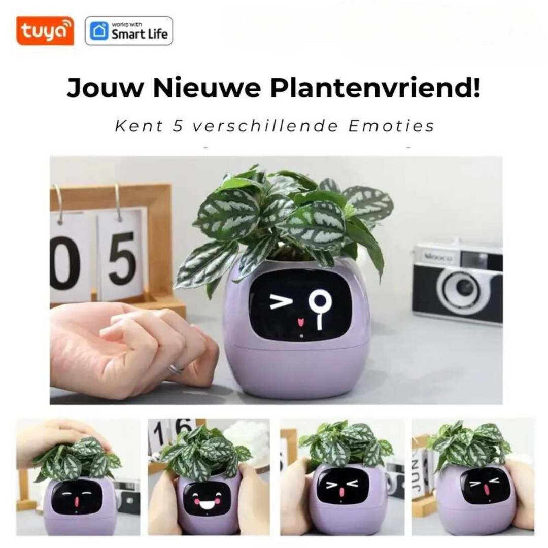 Happy Ivy Your Smart Partner for Automatic Plant Care! - Elena Harper