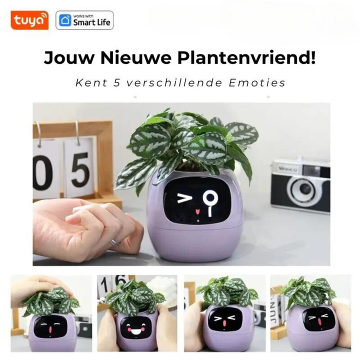 Happy Ivy Your Smart Partner for Automatic Plant Care! - Elena Harper