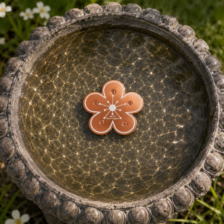 Bloomara Pure Copper Bird Bath Purifier Disc, Algae Control Flower - Elena Harper