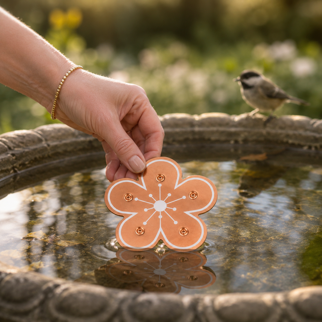Bloomara Pure Copper Bird Bath Purifier Disc, Algae Control Flower - Elena Harper