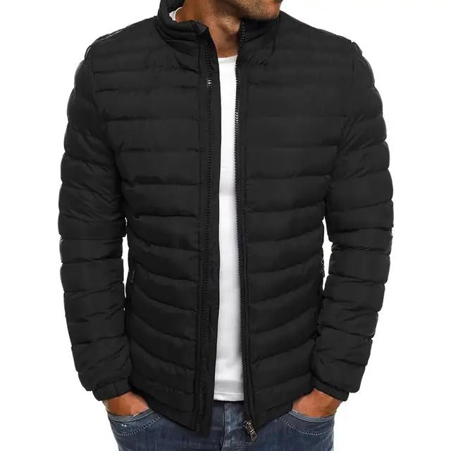 Men's Transitional Jacket with Stand Collar Regular Fit Lightweight with Lining