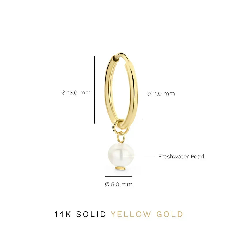 Delia Crest Earrings Gold, view 4 - Elena Harper