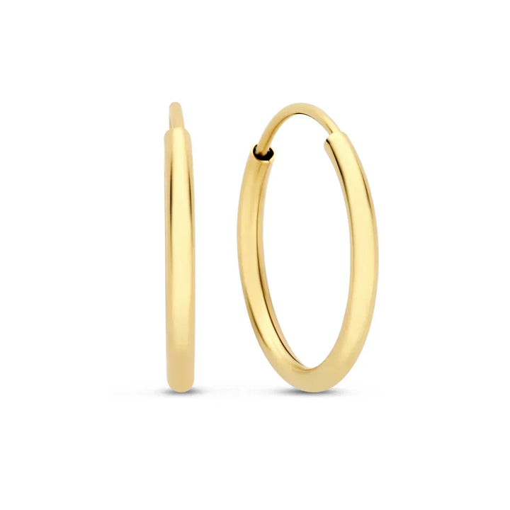 Emelirene™  |  14k Gold Earrings