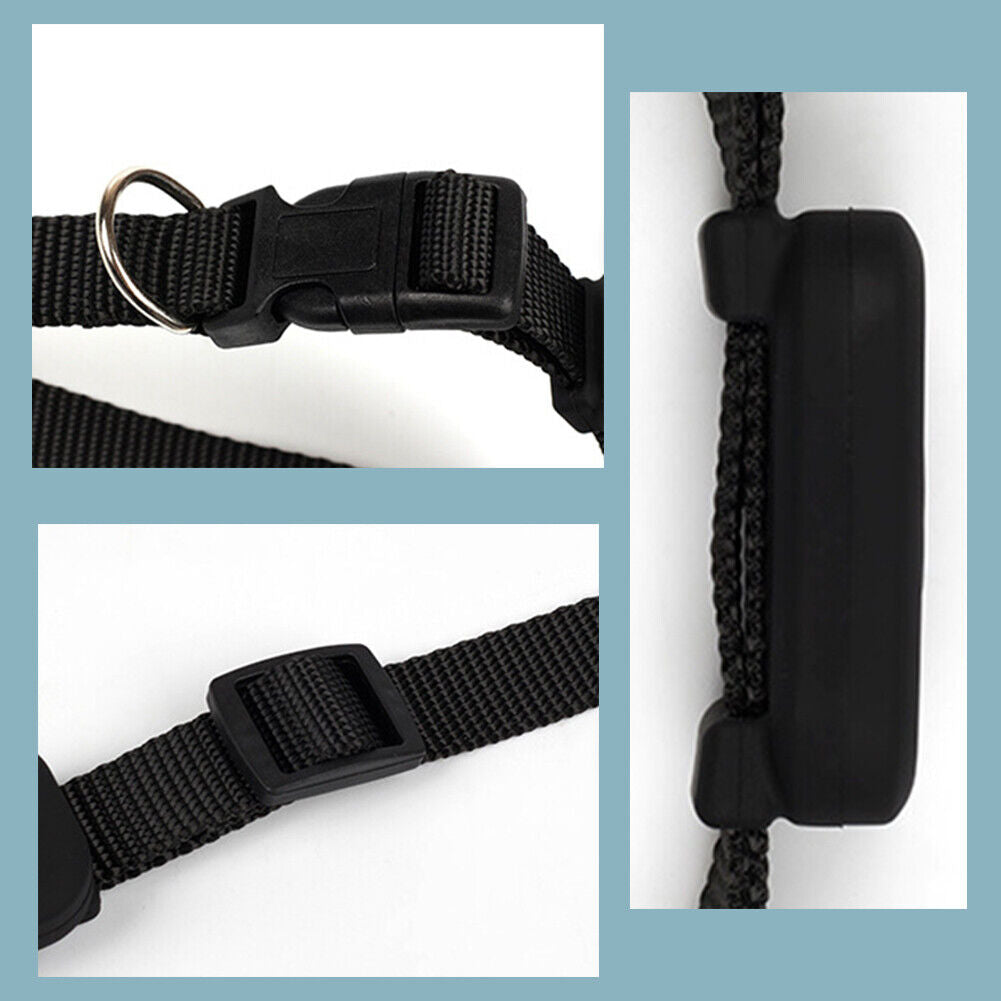 PetTrack GPS Tracker for iOS, view 8 - Elena Harper