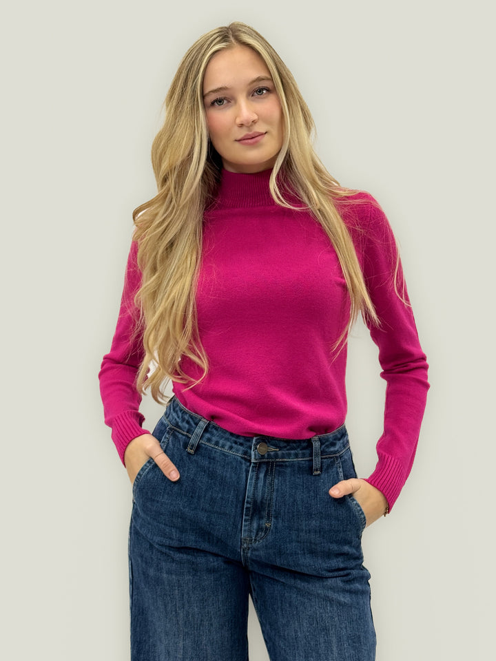 Isabel™  |  Basic Roll Neck Versatile