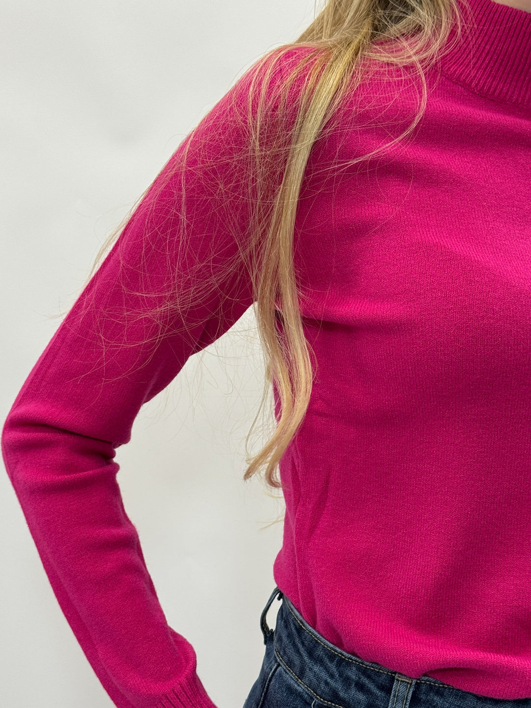 Isabel™  |  Basic Roll Neck Versatile
