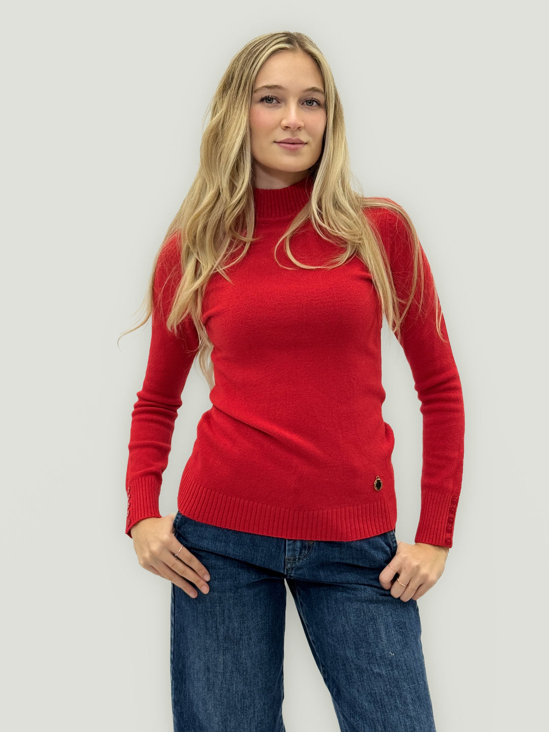 Isabel™  |  Basic Roll Neck Versatile