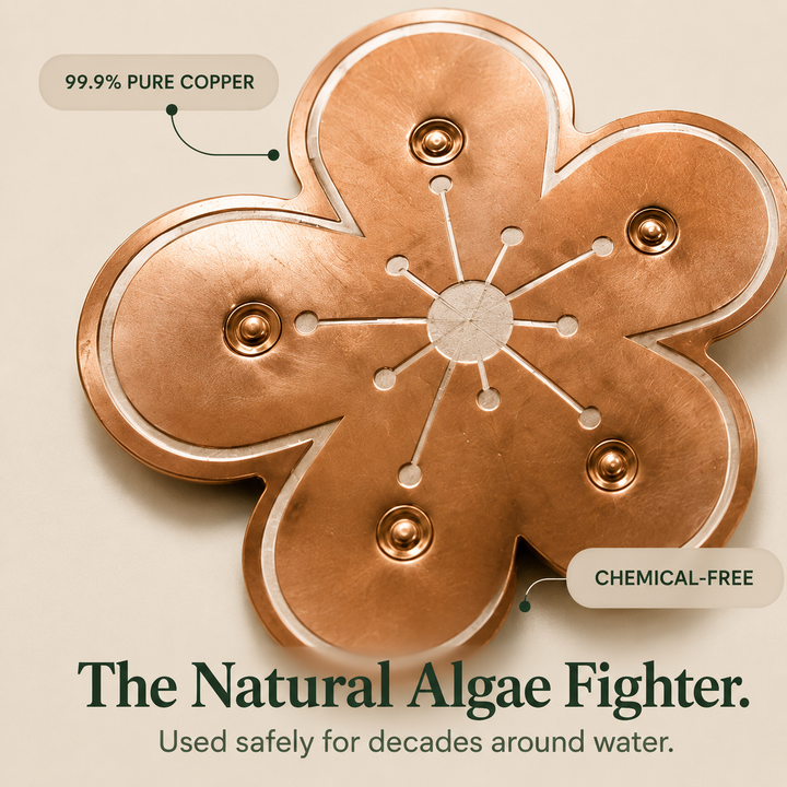 Bloomara Pure Copper Bird Bath Purifier Disc, Algae Control Flower - Elena Harper