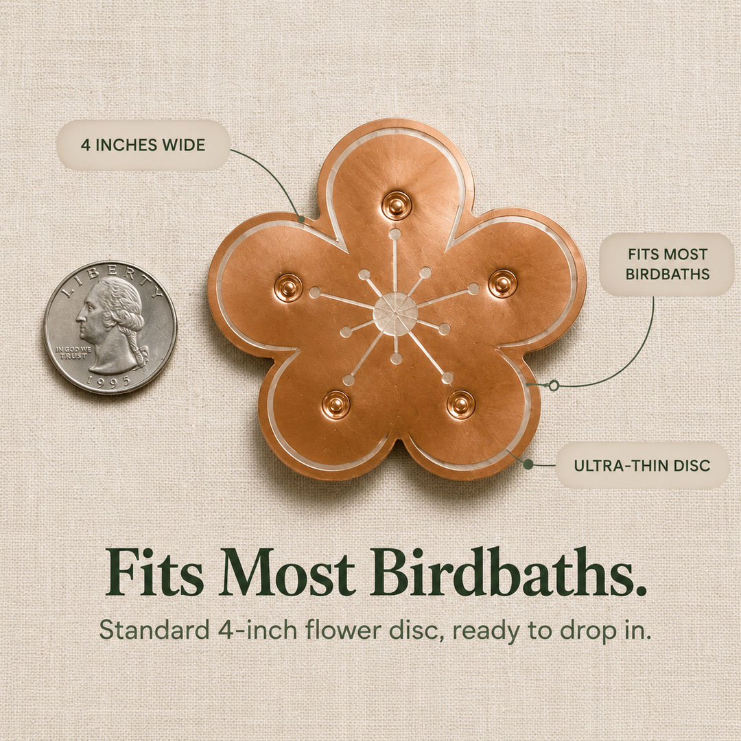 Bloomara Pure Copper Bird Bath Purifier Disc, Algae Control Flower - Elena Harper
