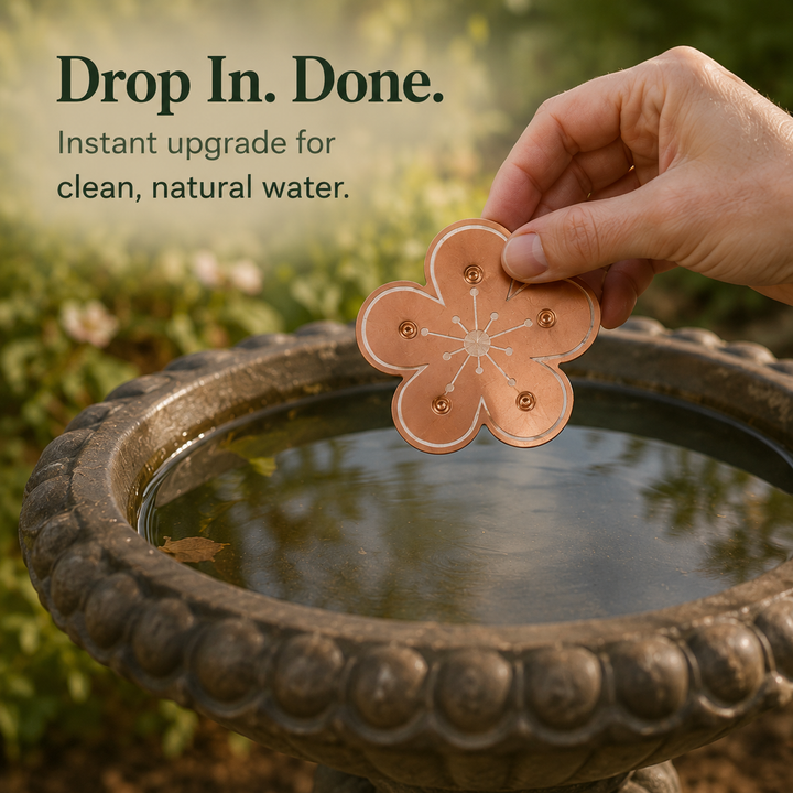 Bloomara Pure Copper Bird Bath Purifier Disc, Algae Control Flower - Elena Harper