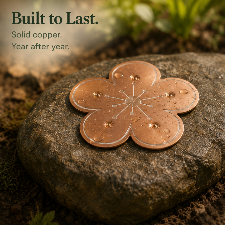 Bloomara Pure Copper Bird Bath Purifier Disc, Algae Control Flower - Elena Harper
