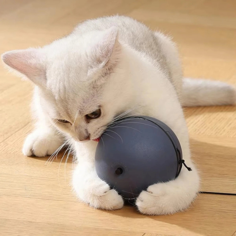 Smart Rolling Cat Toy Ball for Engaging Playtime