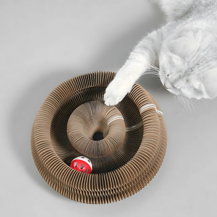 Interactive Cat Scratcher Maze Toy - Customizable & Durable Pet Fun
