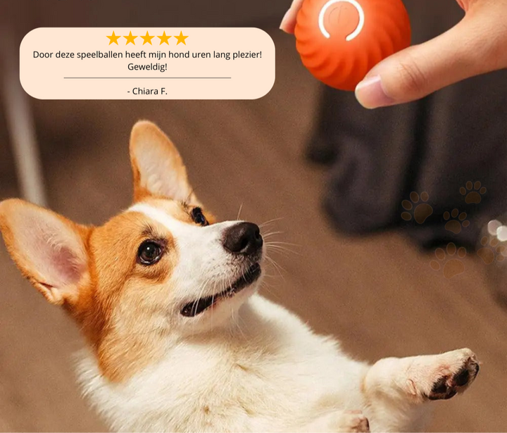 Smartball 2.0 Automatically Rolling Play Ball! - Elena Harper