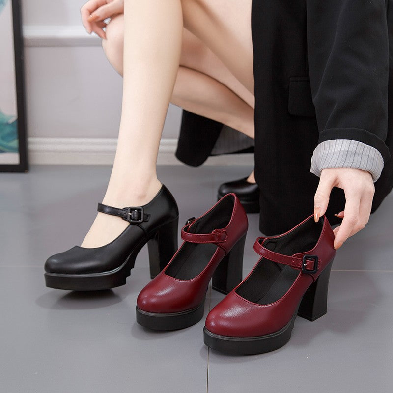 Women's Elegant Mary Jane Pumps - Comfortable Block Heel