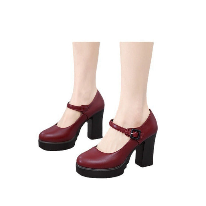 Women's Elegant Mary Jane Pumps - Comfortable Block Heel