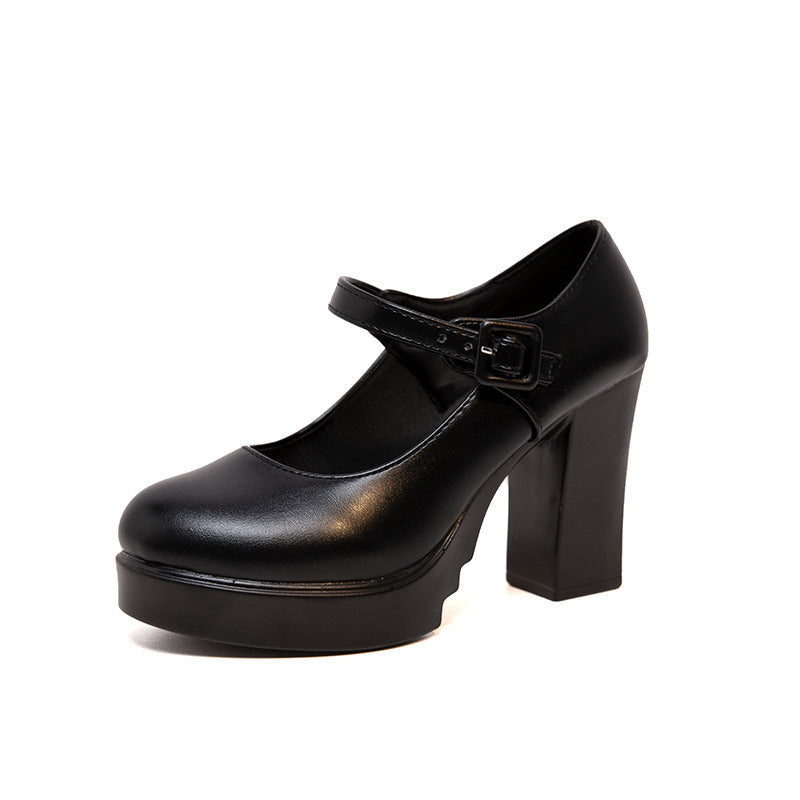 Women's Elegant Mary Jane Pumps - Comfortable Block Heel