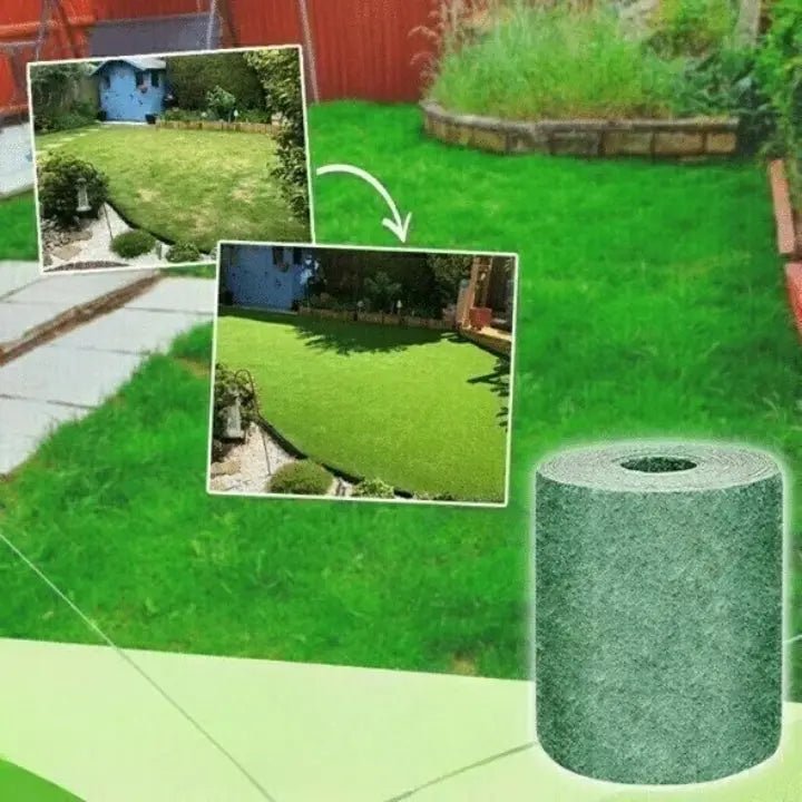 Grass Turf | Fast Lawn Restoration | Alternative to Turf Rolls | TerraSprout
