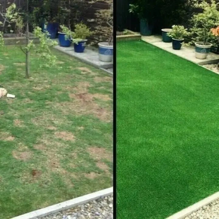 Grass Turf | Fast Lawn Restoration | Alternative to Turf Rolls | TerraSprout