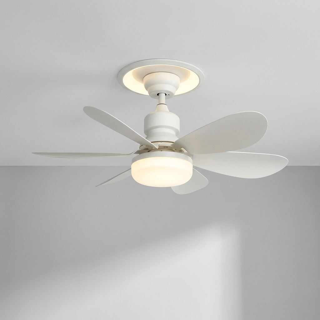 Remote Controlled Ceiling Fixture