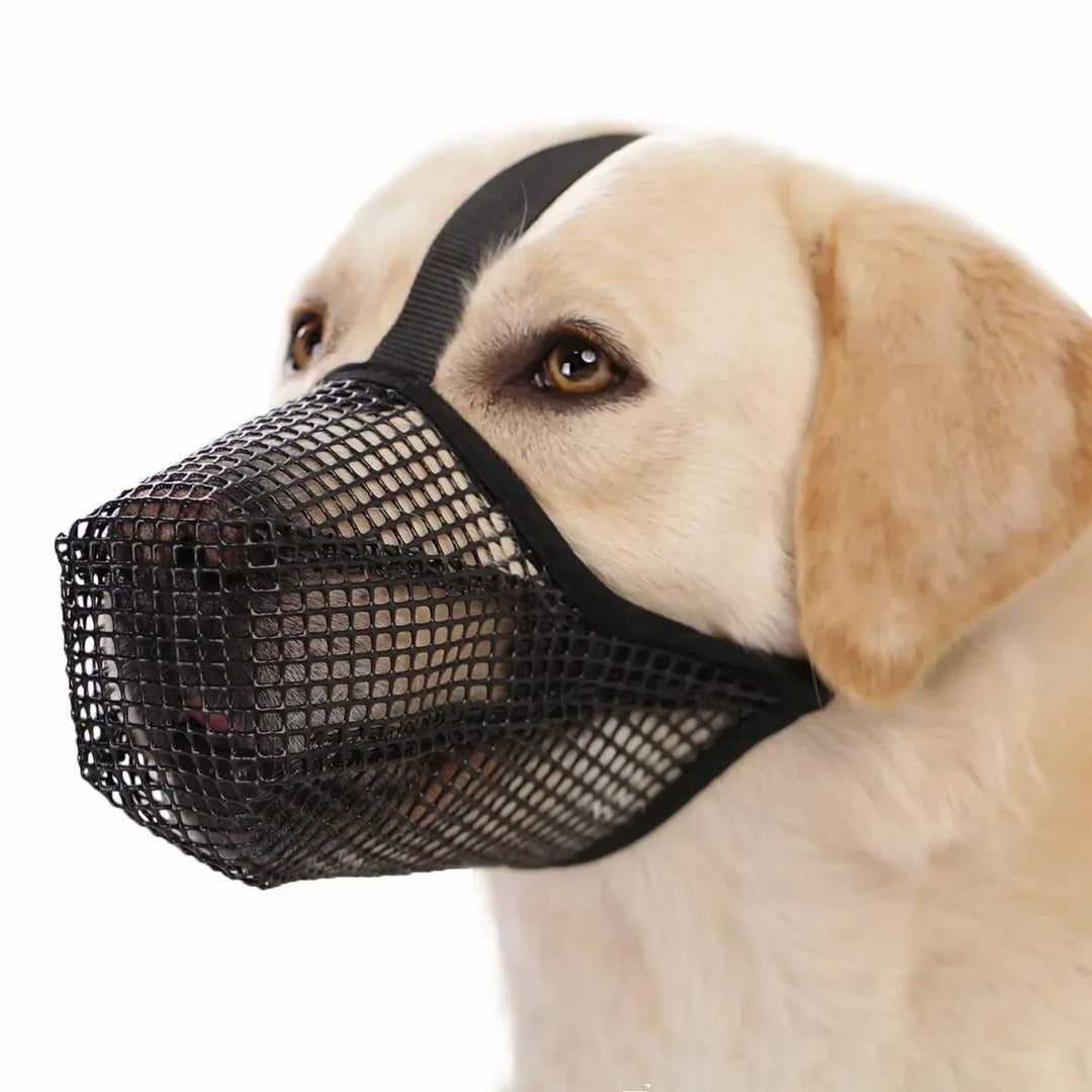 Soft Breathable Dog Muzzle for Comfort & Safety