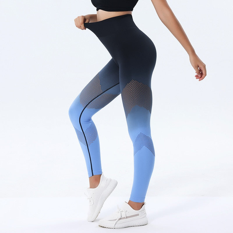 FitGym Sports Pants
