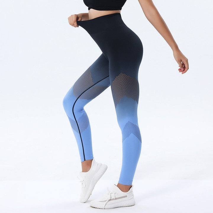 FitGym Sports Pants