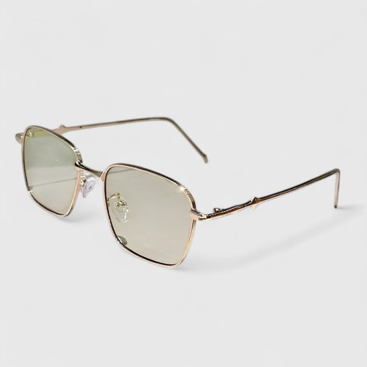 Raygynn™  |  Stylish Sunglasses
