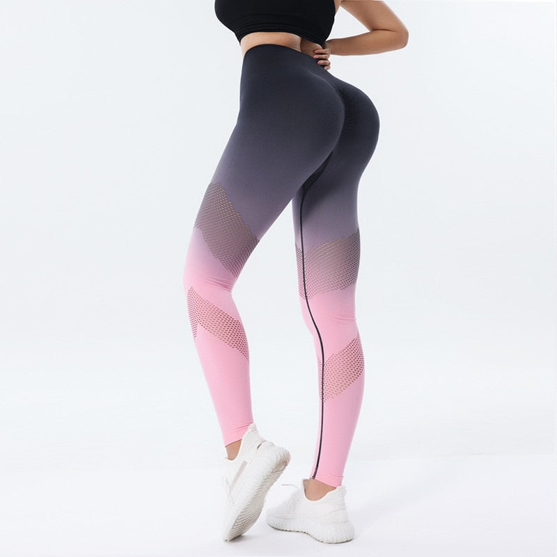 FitGym Sports Pants