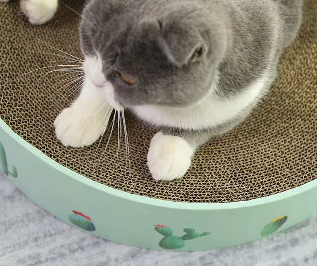 Modern Cactus Cat Scratching Board - Furniture Protector