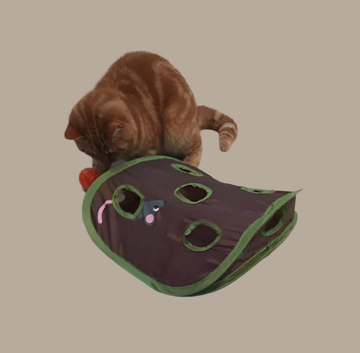 Interactive Cat Tent with Play Toys – Cozy Cave for Feline Fun