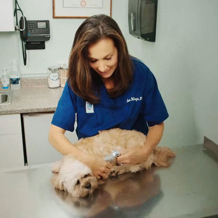 MAX - The Best Dog Nail Clippers with Quick-Sensors