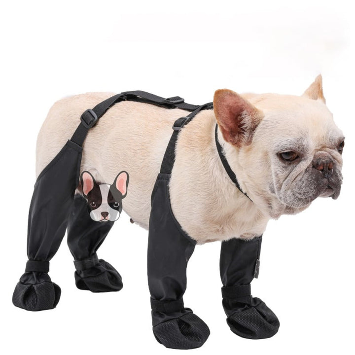 Durable Dog Boots, view 3 - Elena Harper
