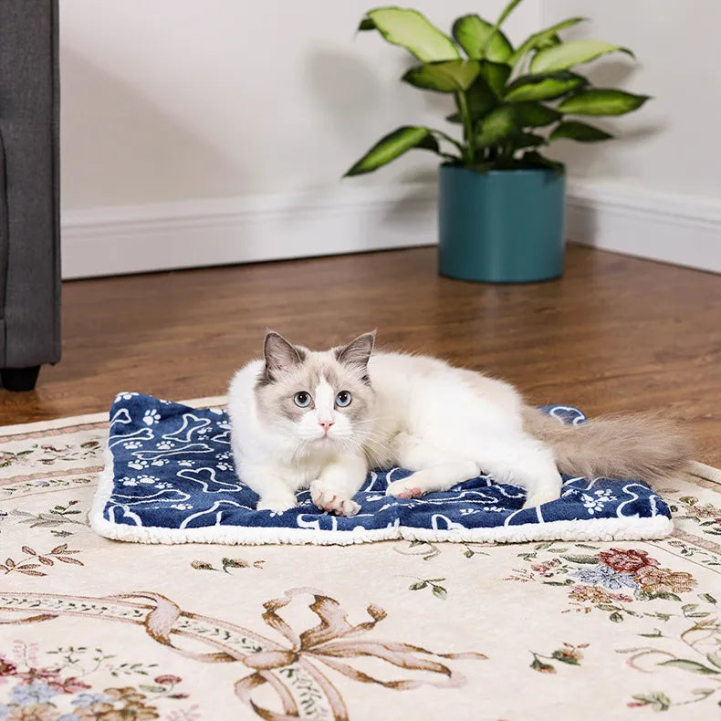 Thick Winter Blanket for Cats