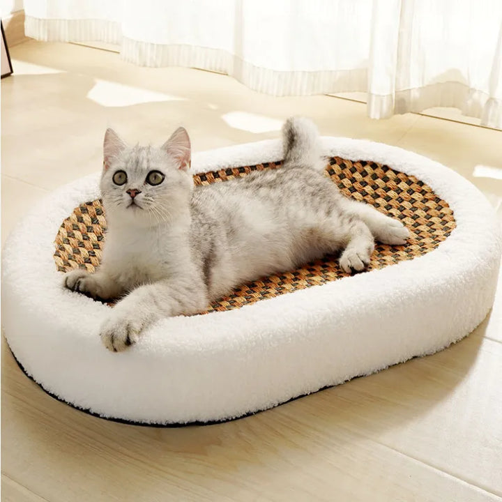Premium Cat Bed with Integrated Scratching Surface